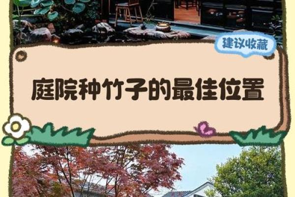 竹子在院子哪个方位好