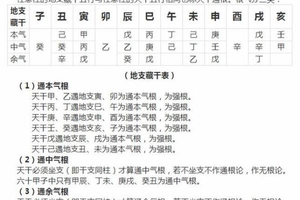 八字天干的根