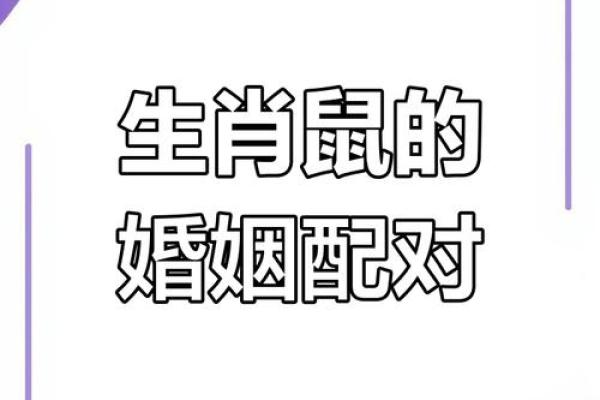 鼠和什么属相配对幸福
