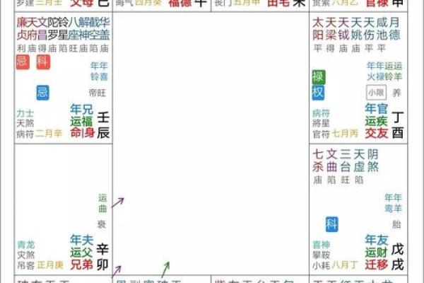 紫微斗数排盘天魁星坐命宫分析,十二宫分析