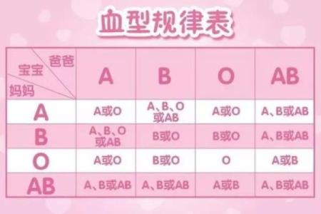 属鼠B血型的人性格与事业姻缘