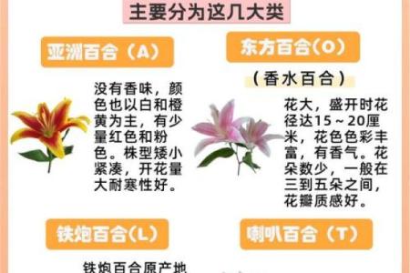 百合姓名配对 名字百合的意思？
