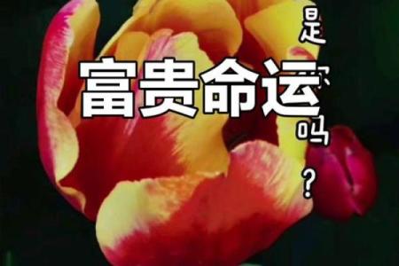 生女孩择吉日，适合女孩子出生的富贵命吉日