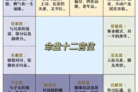 紫薇斗数难学吗