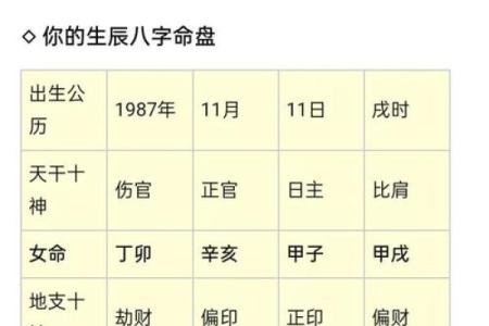 八字5两9特点介绍，八字5两9的含义及其解析