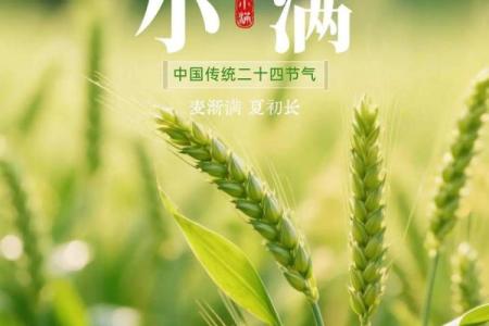 2024年四月二十八小满是好日子吗？是签约的吉日吗？