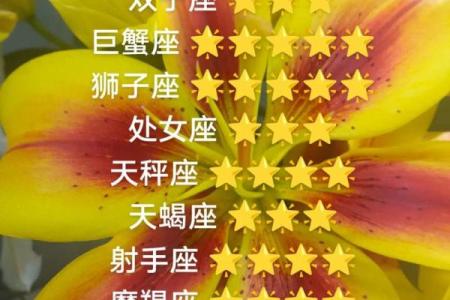 今日各星座的运势如何