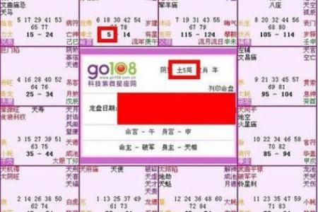 紫薇斗数长寿星