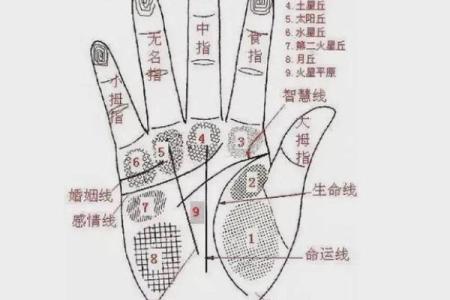 手上胎记算命图解
