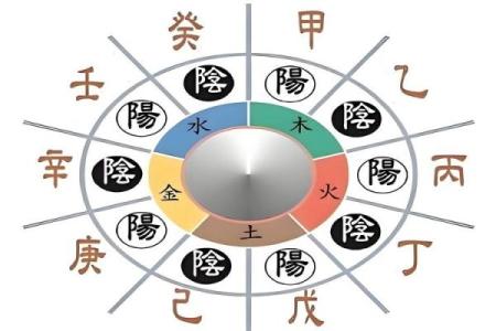 八字天干的根
