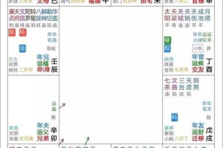紫微斗数排盘天魁星坐命宫分析,十二宫分析
