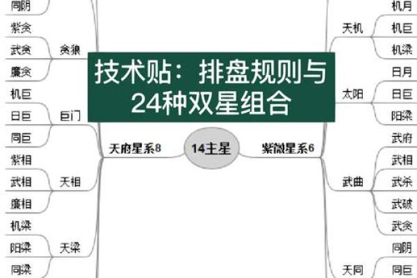 紫薇星盘怎么排