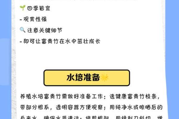 如何避免富贵竹风水禁忌影响财富进入