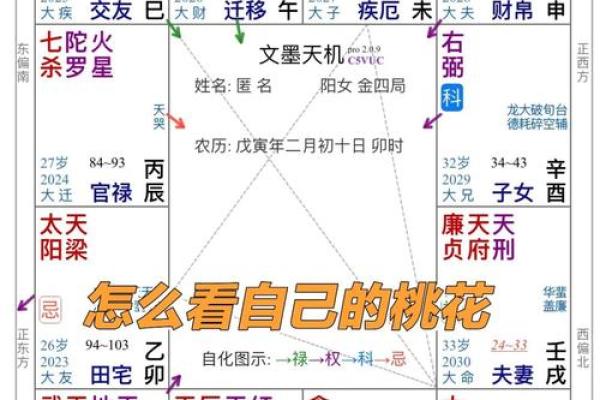 紫薇斗数桃花星6