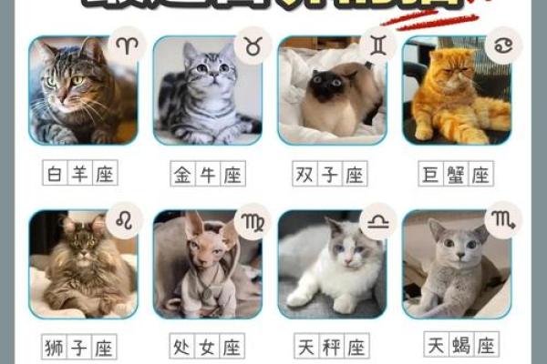 十二星座适不适合做兄妹俩