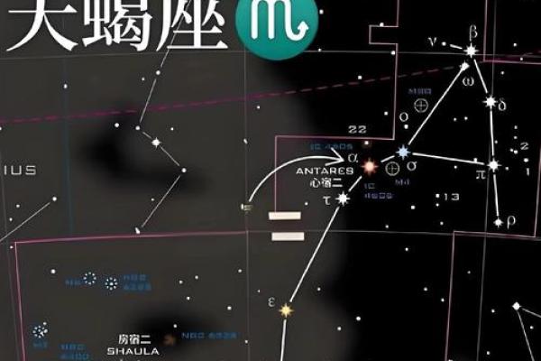 生命灵数2像什么星座