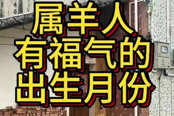 属羊出生吉日 几点出生最好