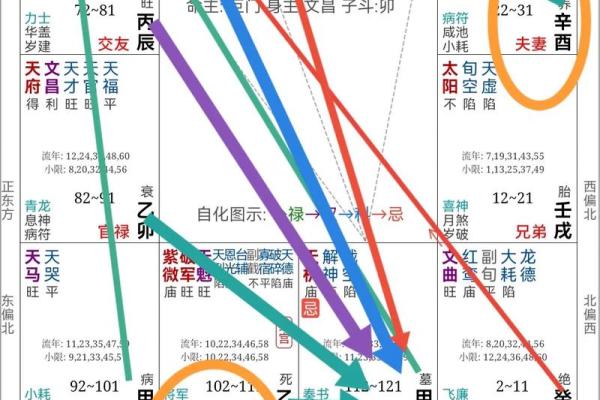 爱因斯坦紫薇斗数盘