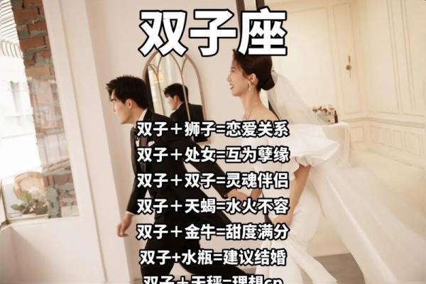双子要跟哪个星座在一起最好