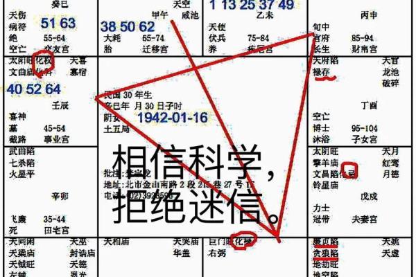阿里紫薇斗数