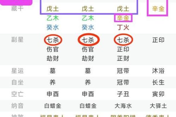 八字中透干算命意思