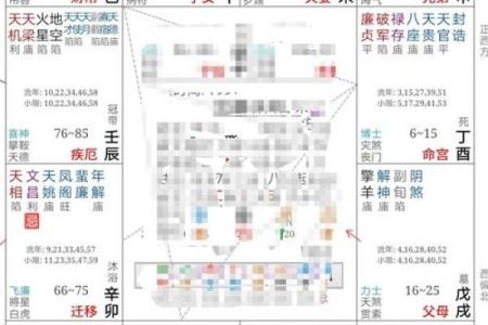 免费紫微命盘配对