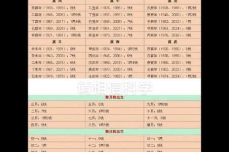 狗骨算命