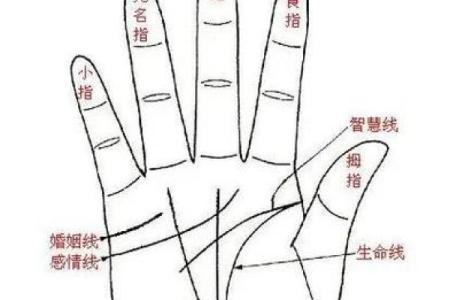 《手相学习百科》：命运线