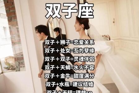 双子要跟哪个星座在一起最好