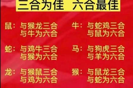 12生肖婚姻最佳配对 12生肖婚姻最佳配对表大全