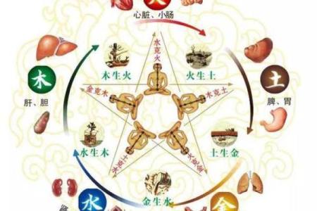 哪些风水会对心脏产生影响