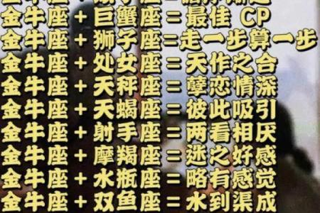 金牛座跟哪个更配对