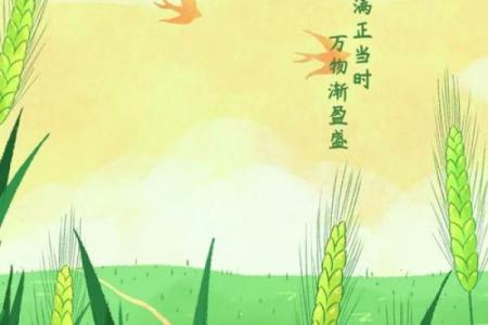 小满节气具体时间 小满节气有哪些民俗