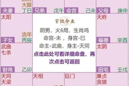 紫薇斗数紫薇在身夫宫