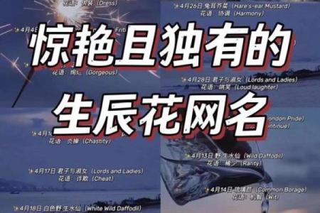 生辰八字网名