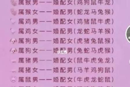 属马和属蛇的人相配吗 属马和属蛇你们配对关系如何
