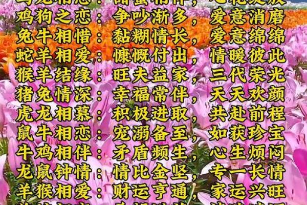 测感情姻缘 测姻缘配对？