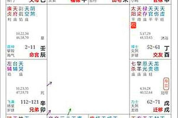 生长紫薇斗数