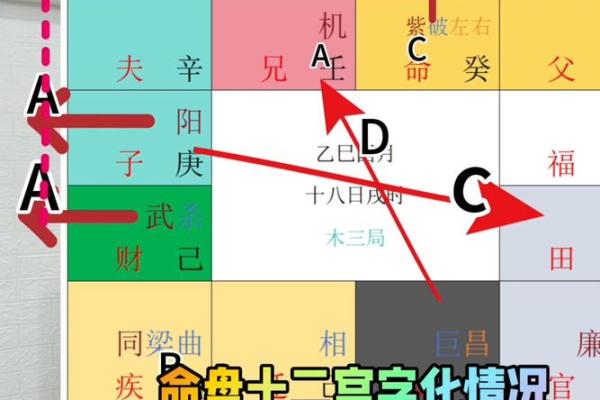 生长紫薇斗数