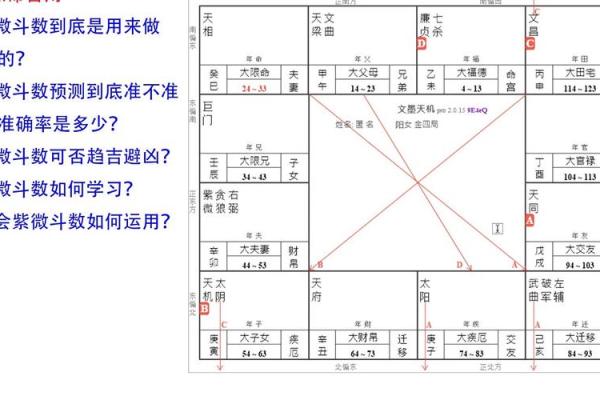 为什么紫薇斗数那么准