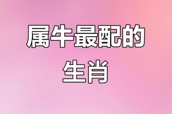 1973年属牛蕞佳配对