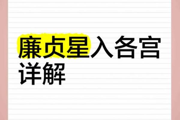 廉贞星什么星座