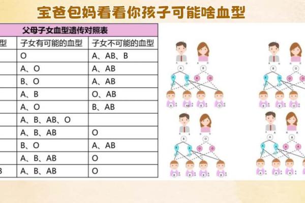 父母孩子血型对照表