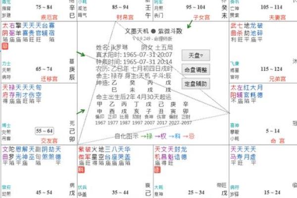 紫薇斗数盘是什么
