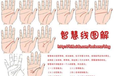凯帝阿手相算命图解大全03
