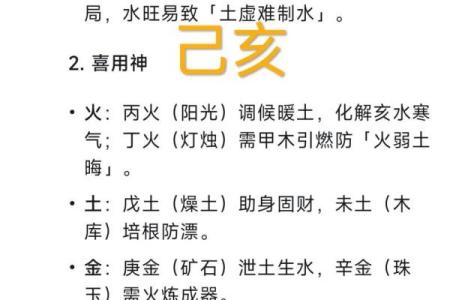 亥时的八字