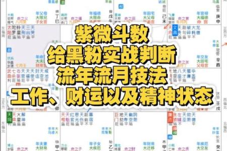 紫微斗数聋哑 紫微斗数看声音？