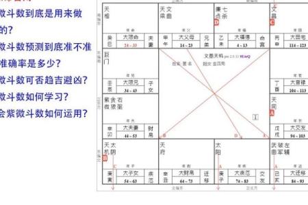 为什么紫薇斗数那么准