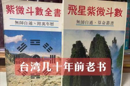 紫薇斗数命书39
