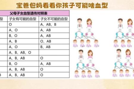 父母孩子血型对照表